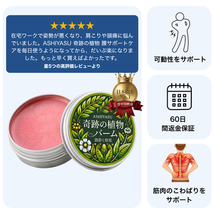 ASHIYASU 奇跡の植物 腰サポートケア